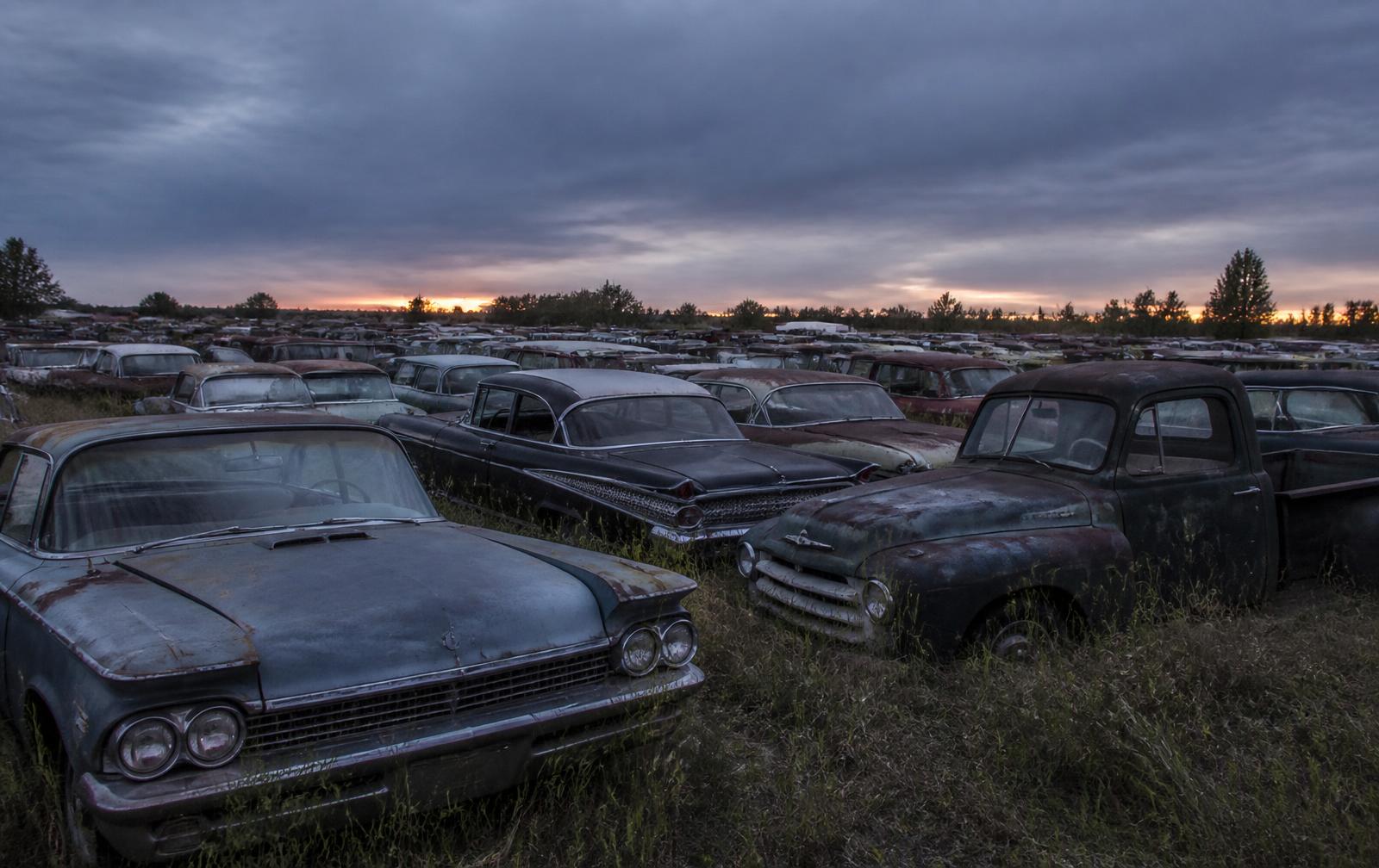 Rangées de voitures et de camions américains classiques dans la cour